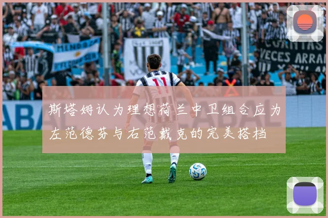 斯塔姆认为理想荷兰中卫组合应为左范德芬与右范戴克的完美搭档